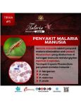 Penyakit Malaria Manusia
